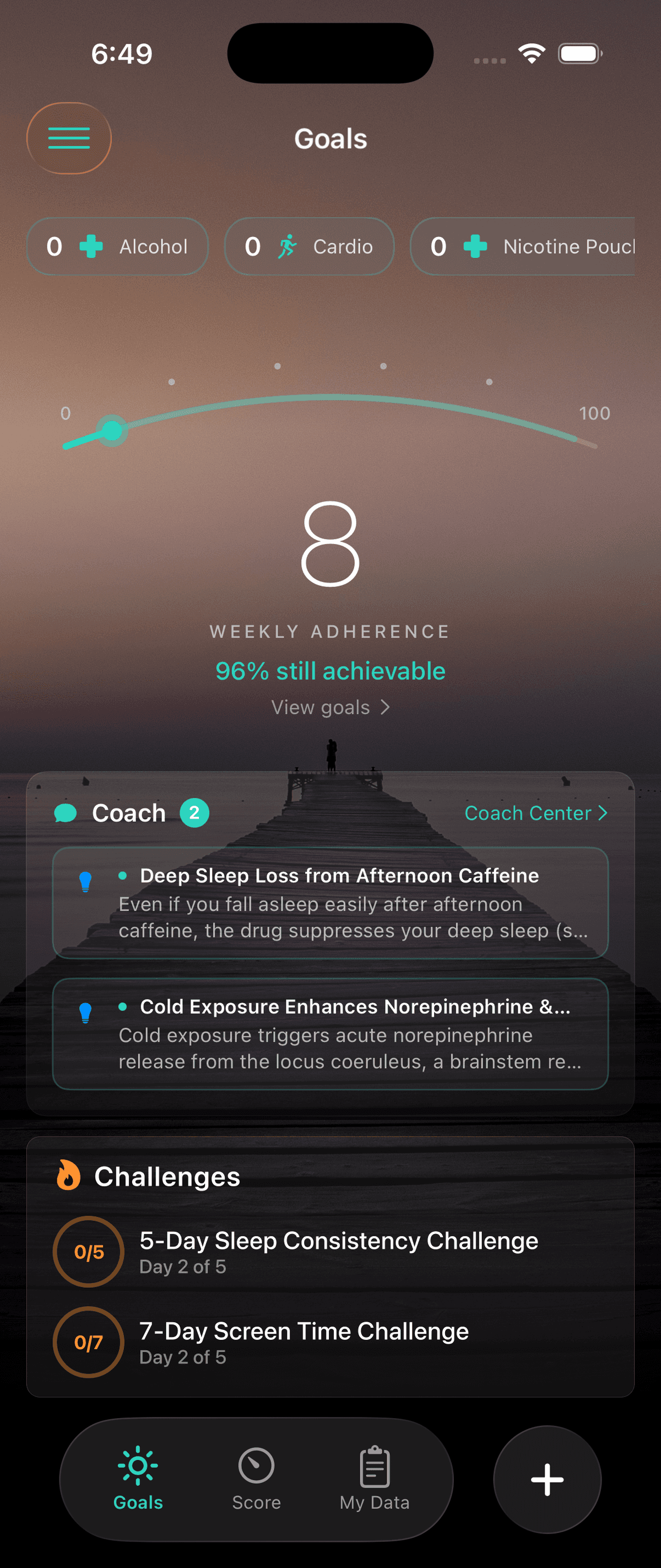 Goals tab showing active goals