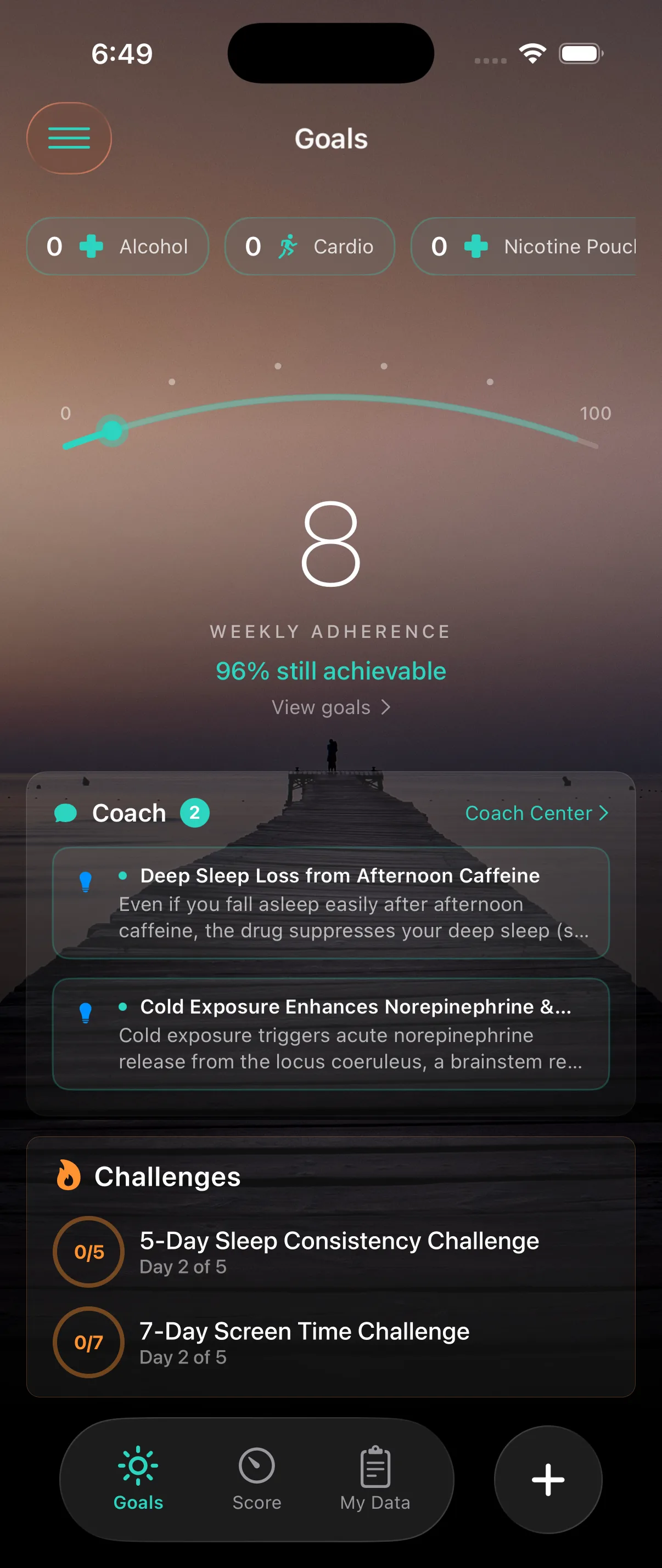 Goals tab showing active goals