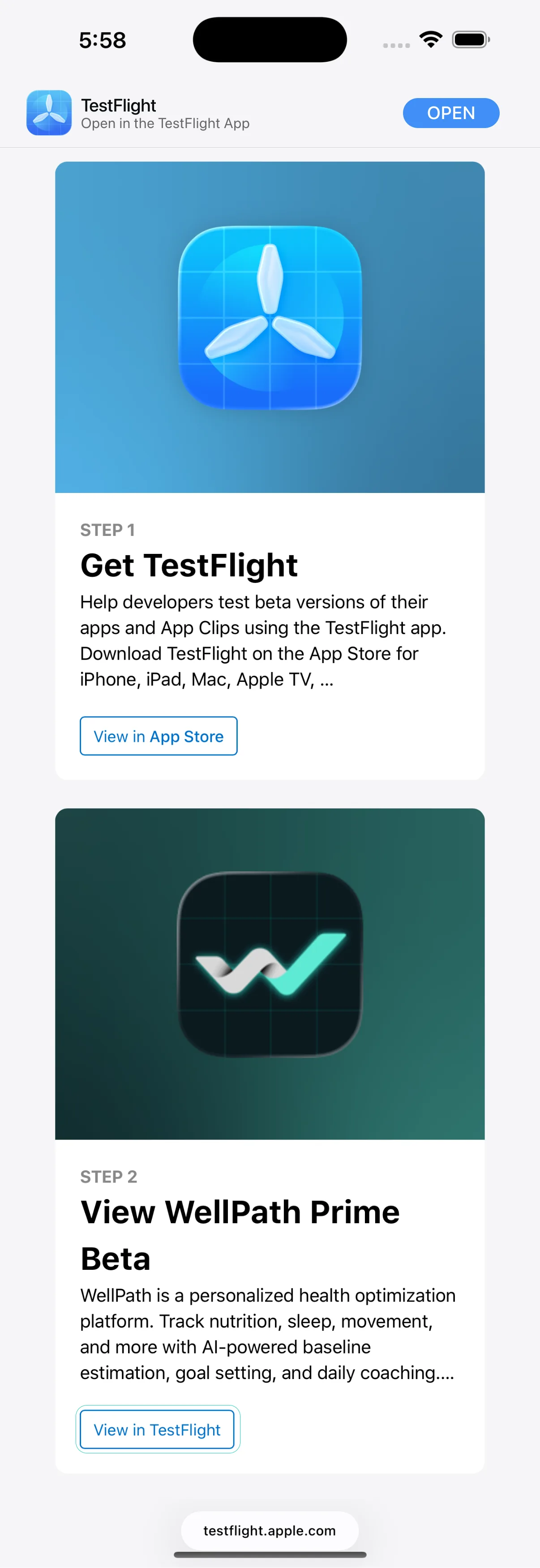 TestFlight join page for WellPath Prime Beta